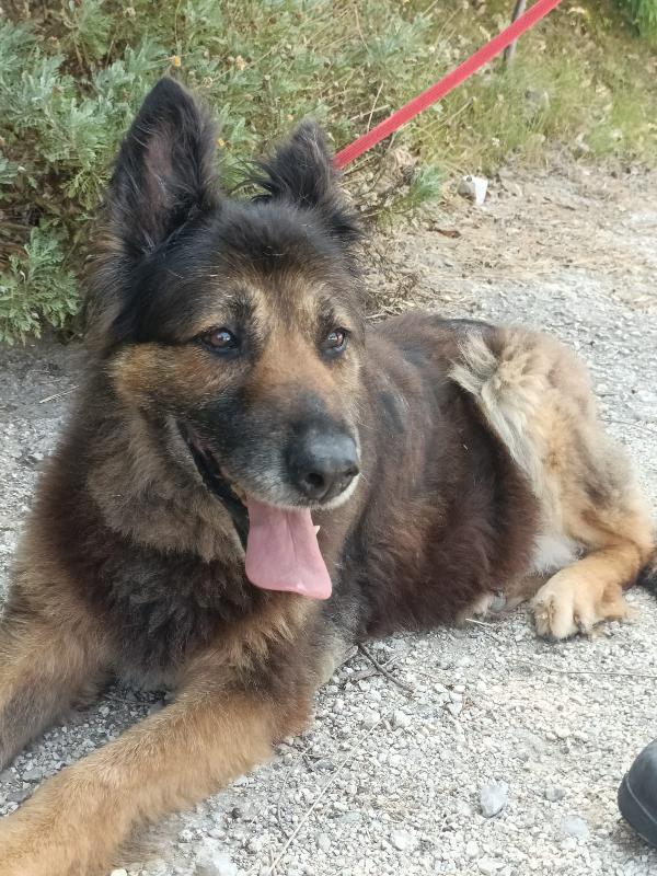 Taila Foto 6